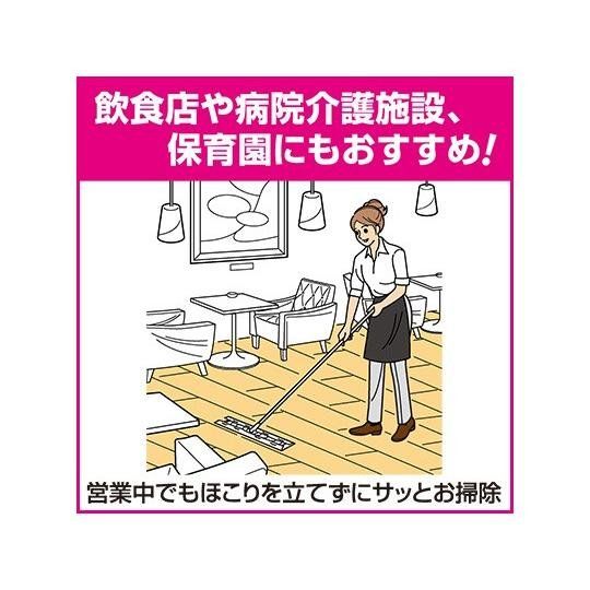 花王プロフェッショナルシリーズ 北海道沖縄