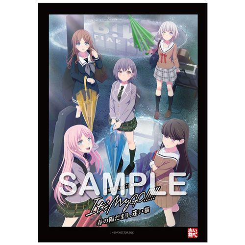 春の陽だまり 迷い猫