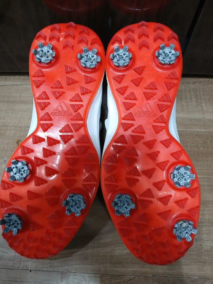 アディダス ゴルフシューズ BOA ホワイト ネイビー 250mm LLC-HASEGAWATOSO_COM