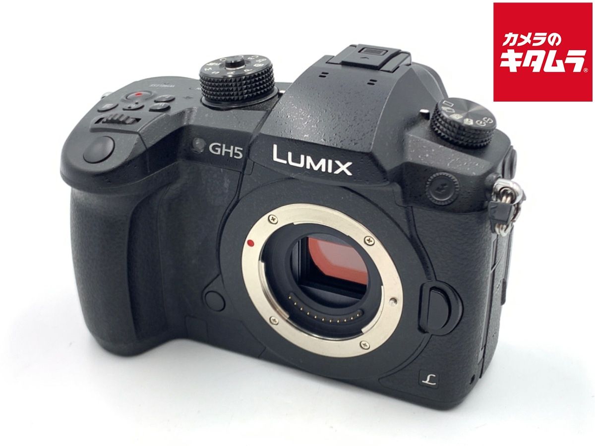 並品 パナソニック LUMIX DC-GH5-K ボディ ブラック