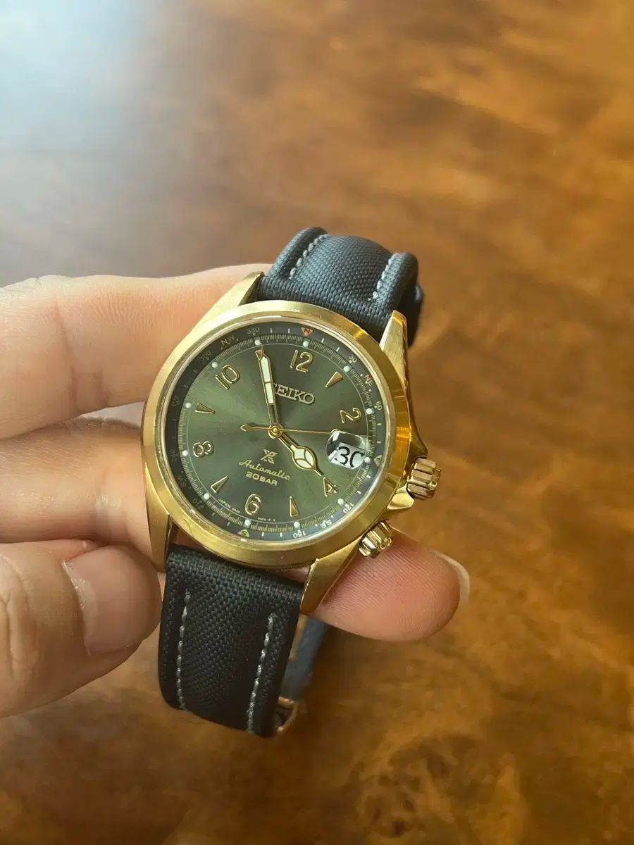 セイコー アルピニスト オートマチック 녹금