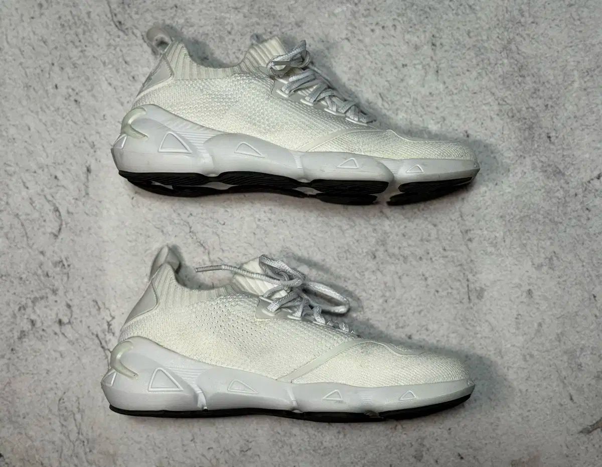 スパイダー レディース ランニングシューズ 240mm