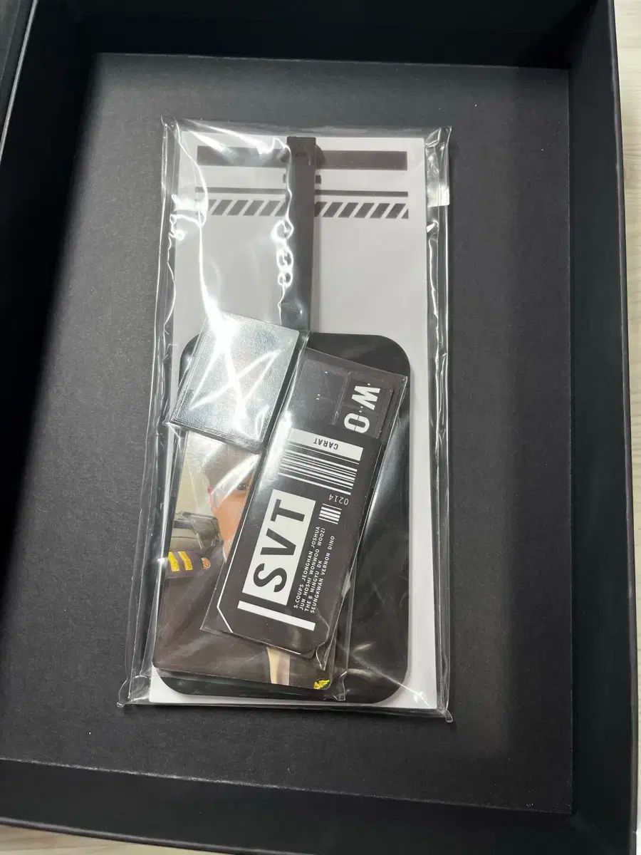 メンバーシップ