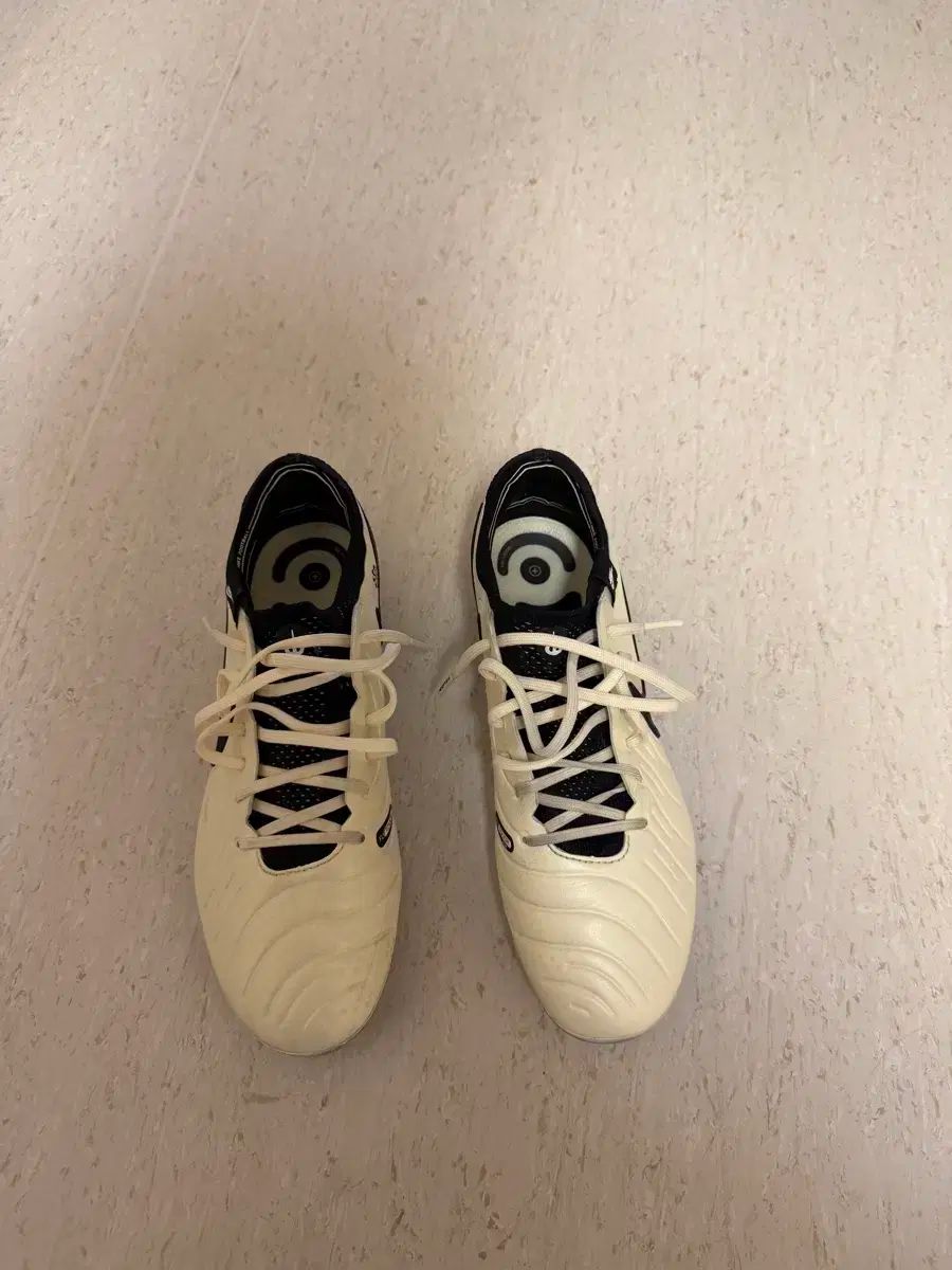 ティエンポ サッカーシューズ エリート AG 260 クリーム色