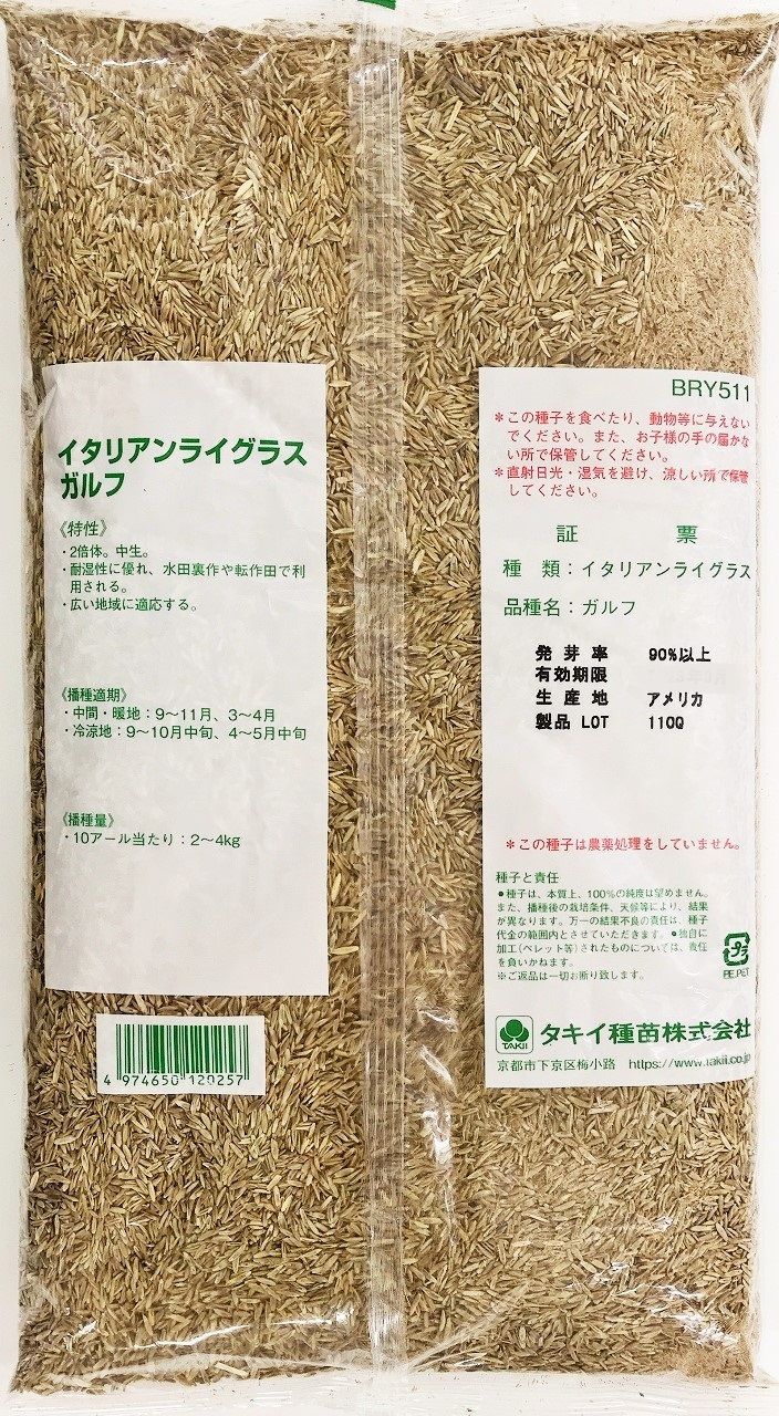 イタリアンライグラス種子 ガルフ 農薬未処理 10kg 種 タキイ種苗 牧草の種