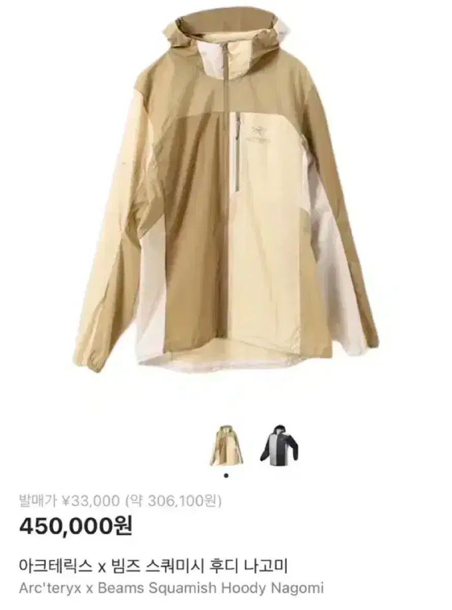 アークテリクス ビームス スコーミッシュフーディー なごみ