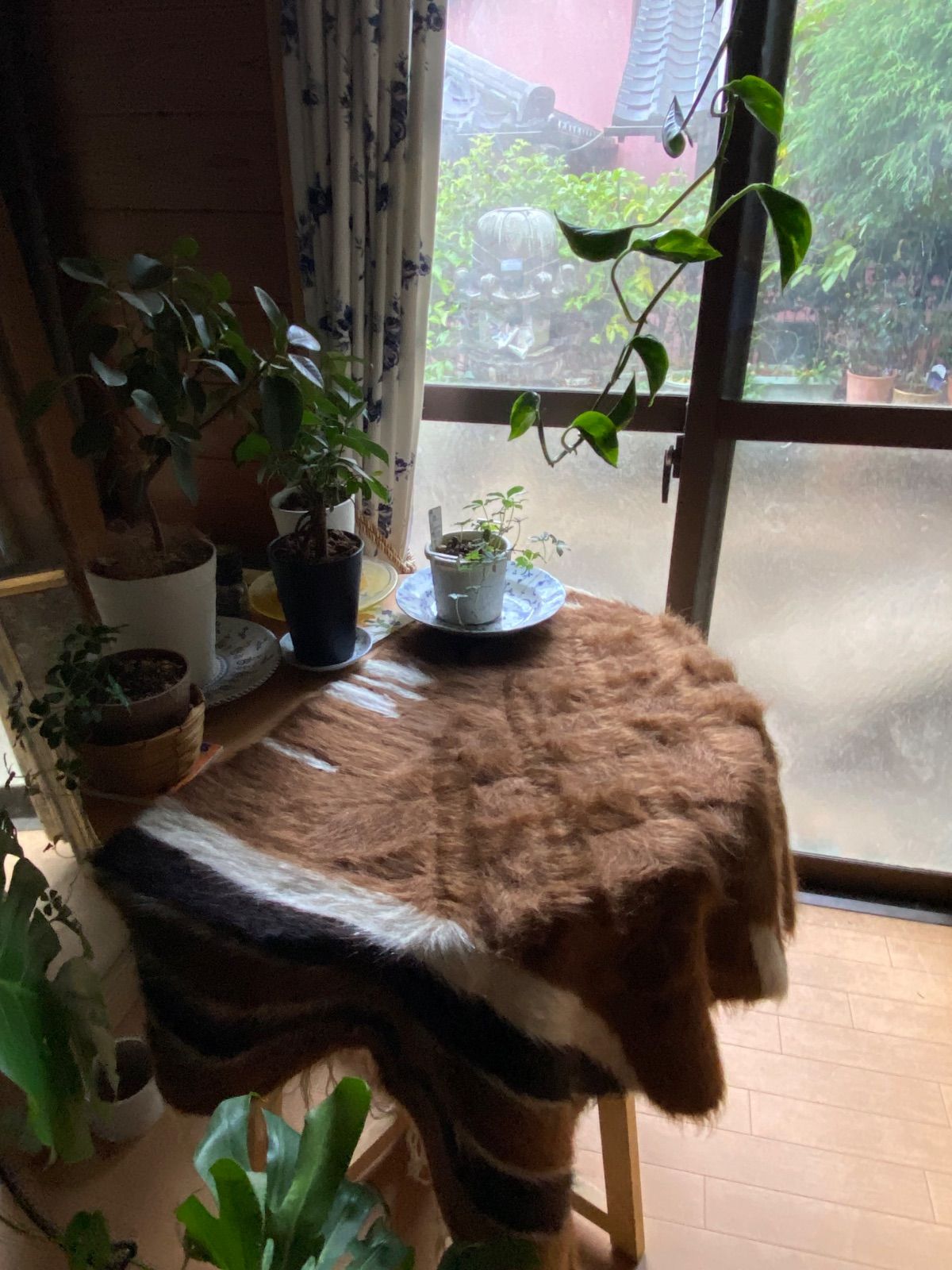 すごく暖かくて丈夫な遊牧民の知恵140年前から織られているエコな毛布