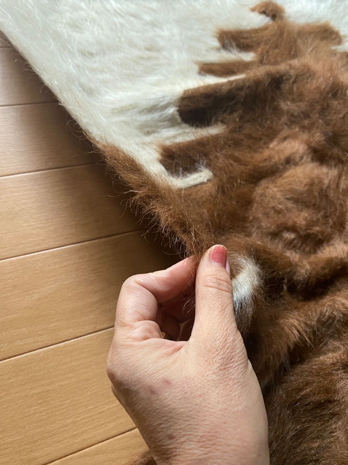 セミアンティークシイルトバッタニイェ サイドの柄が新しいものにはない柄です