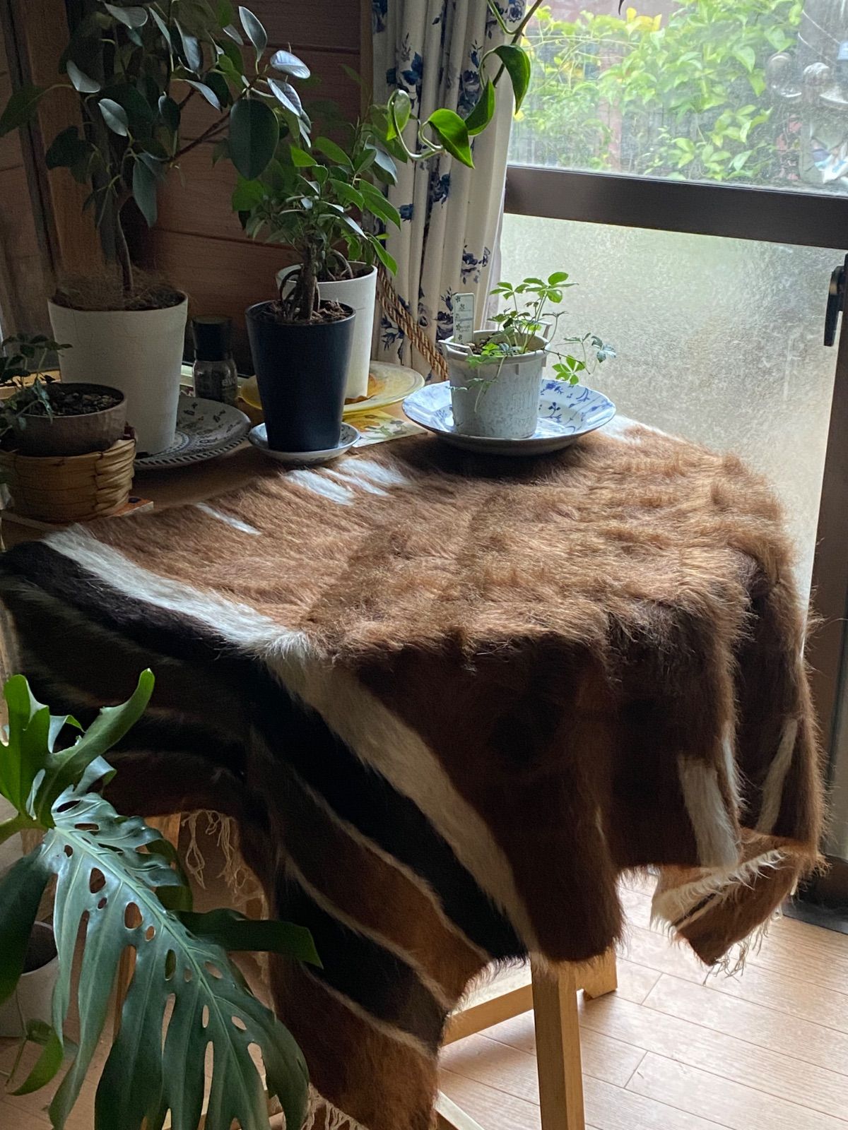 セミアンティークシイルトバッタニイェ