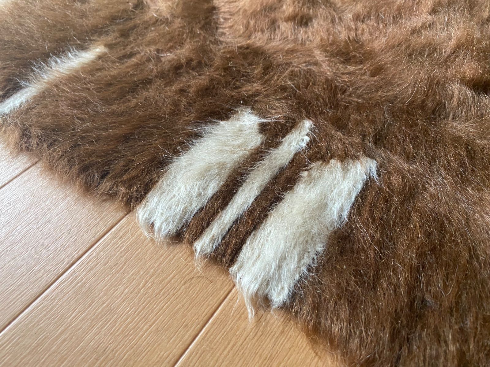 セミアンティークシイルトバッタニイェ