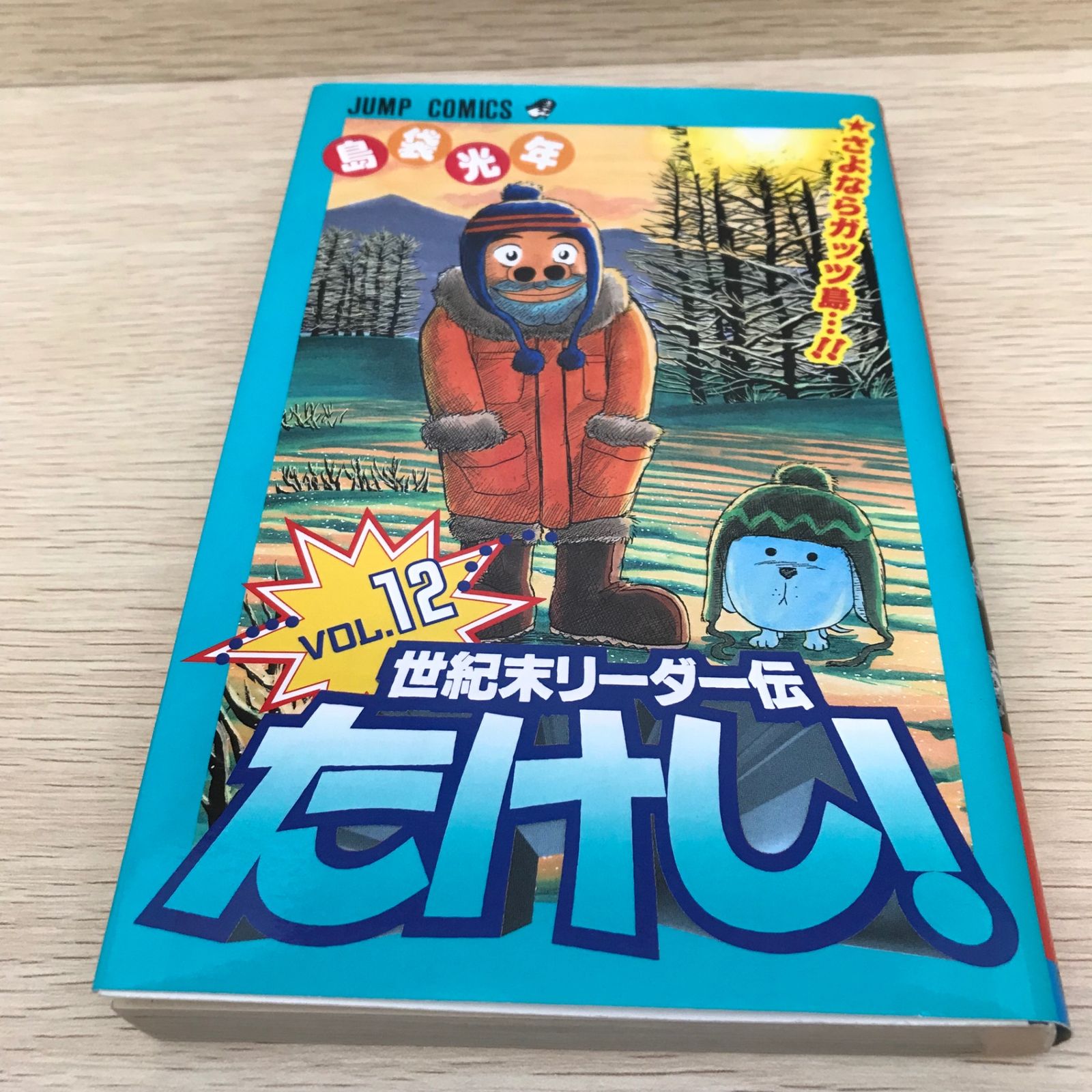 レア】世紀末リーダー伝たけし！ 12巻/【作者】島袋光年/GF-0225036919