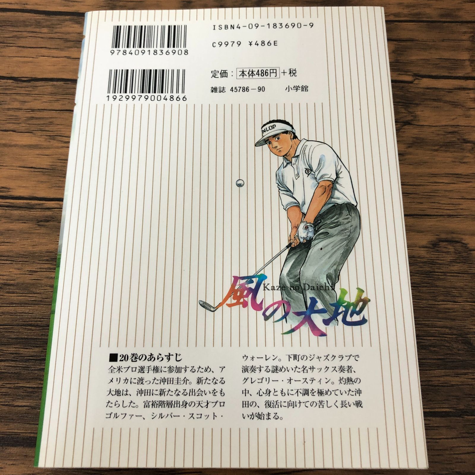 風の大地 20巻/ かざま鋭二/ 坂田信弘/ GF-0225040483-YP/GF08711