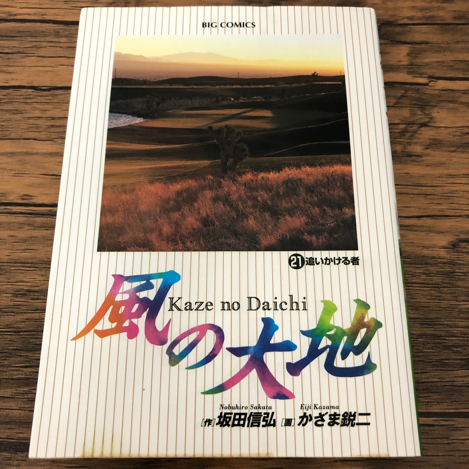 風の大地 1-84　1巻二版、２巻以降全初版以下続巻　坂田信弘/かざま鋭二 風の大地 21巻/ かざま鋭二/ 坂田信弘/ GF-0225040484-YP/GF08711