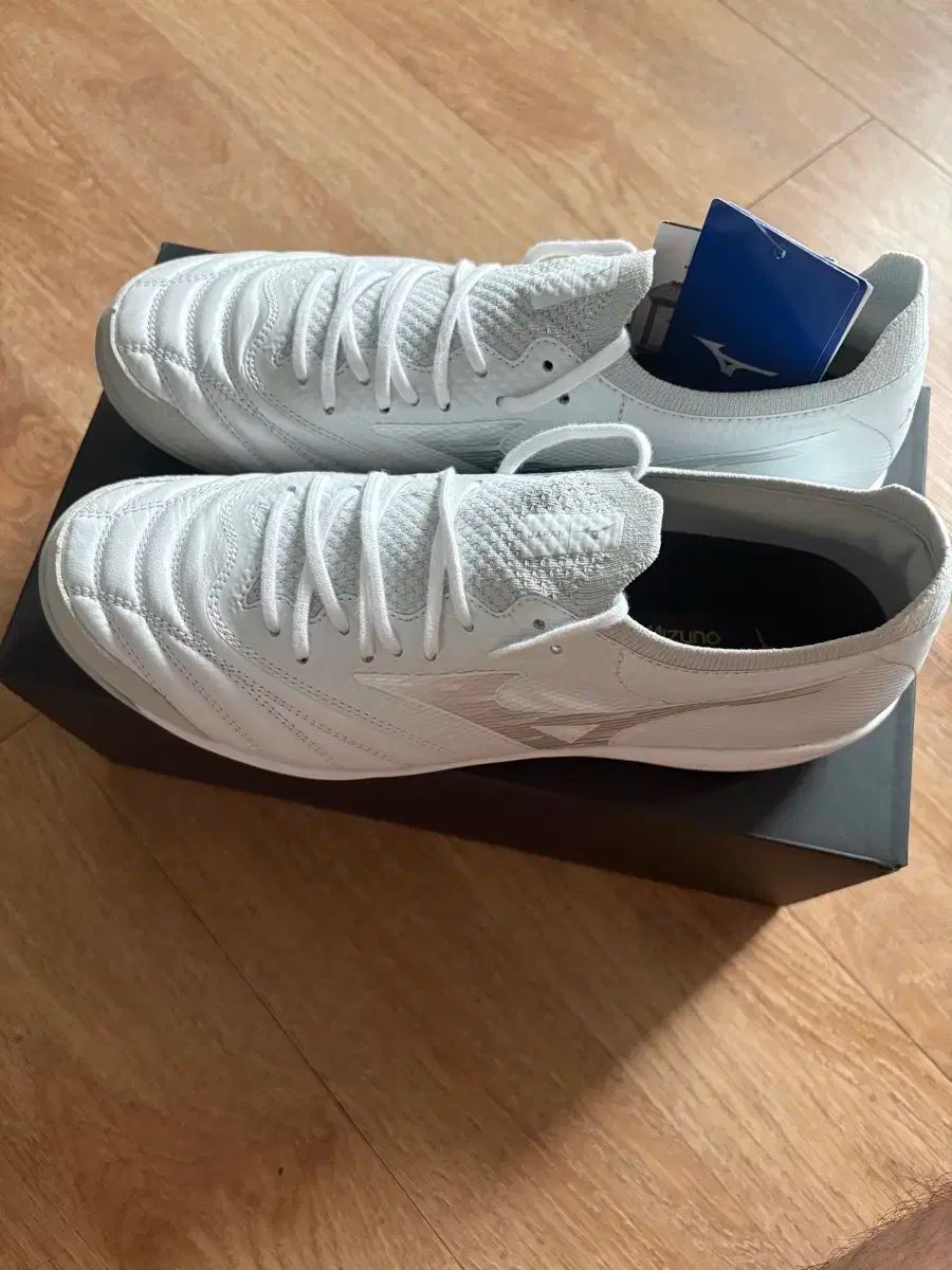 ミズノ モレリア