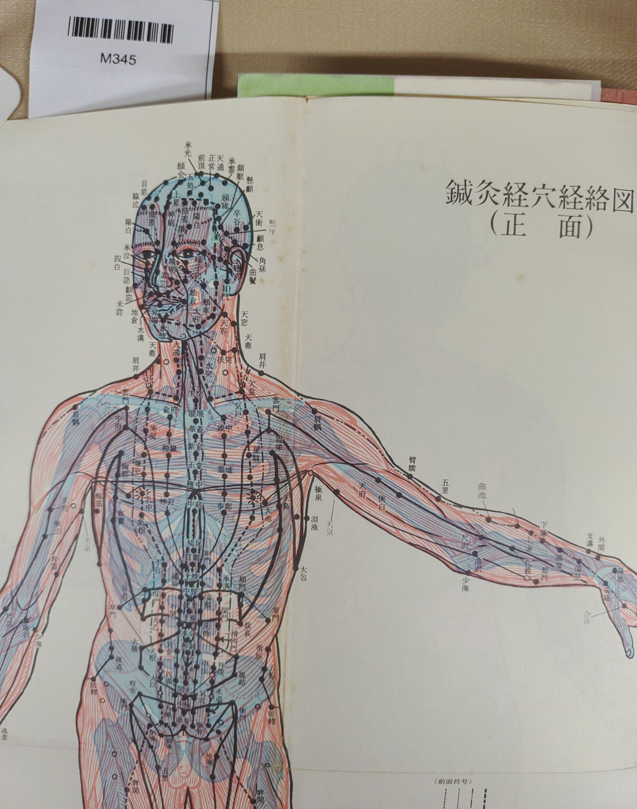 鍼灸ノートブック/澤田流秘伝系穴公開/杉 靖三郎先生序/山田 國弼著