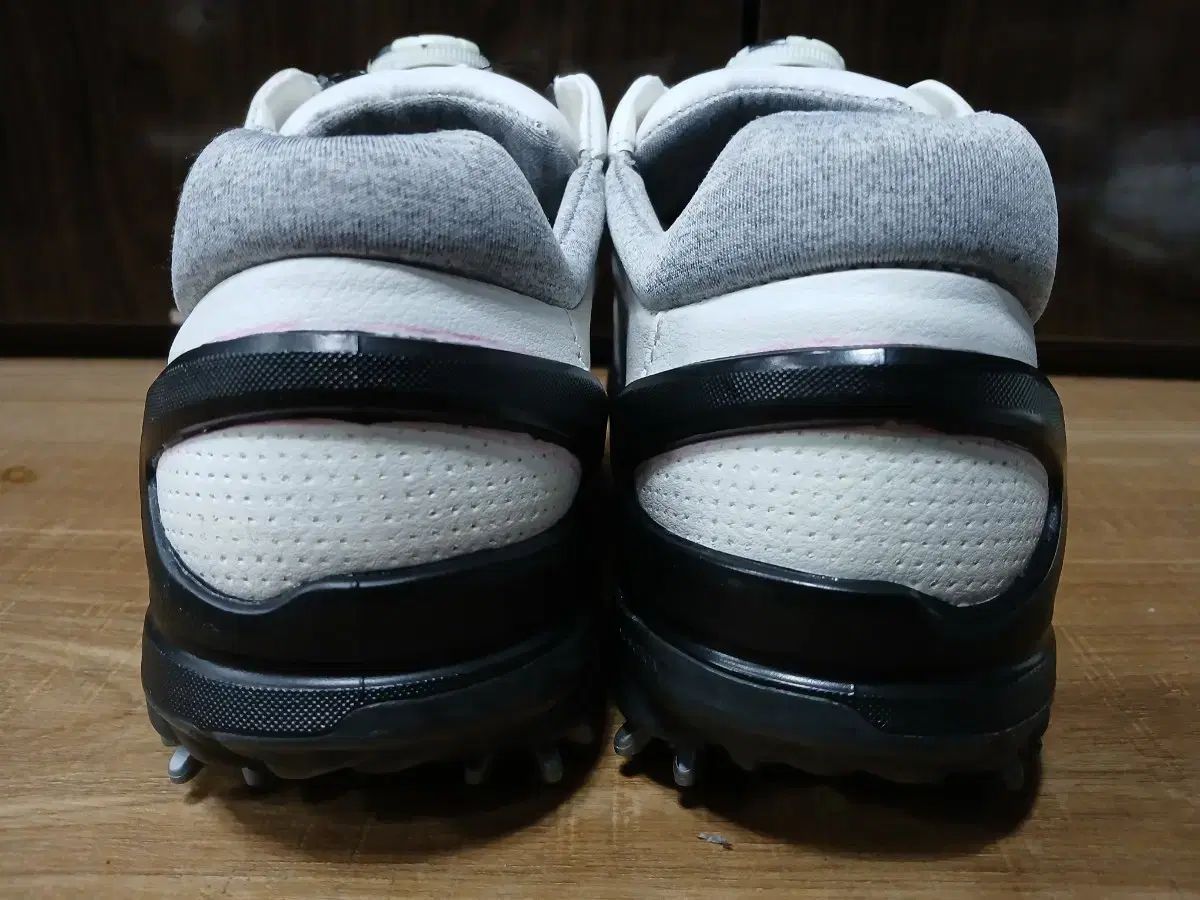 Ecco ゴルフシューズ BIOM 白 255mm LLC-HASEGAWATOSO_COM