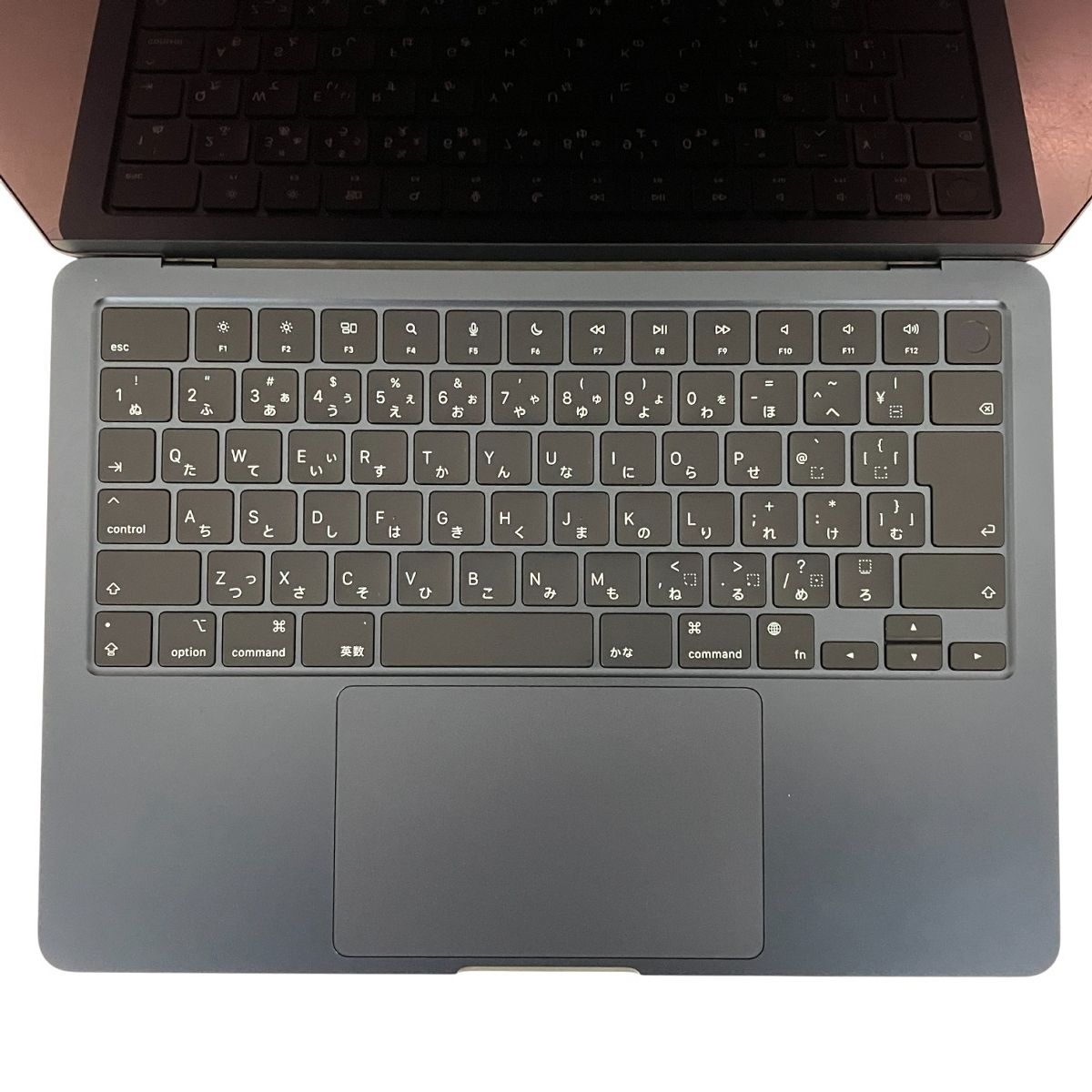 ミッドナイト Sequoia