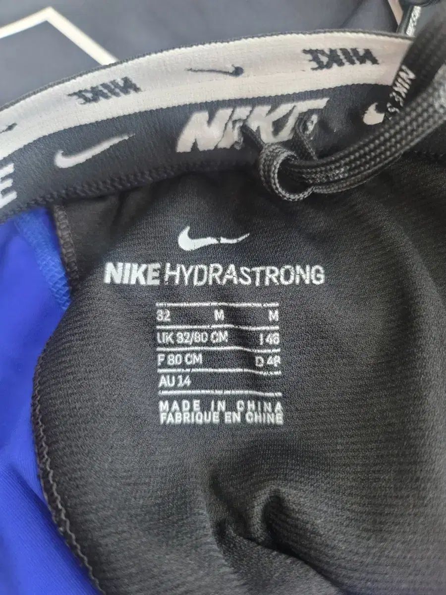 ファンキタ ライオン