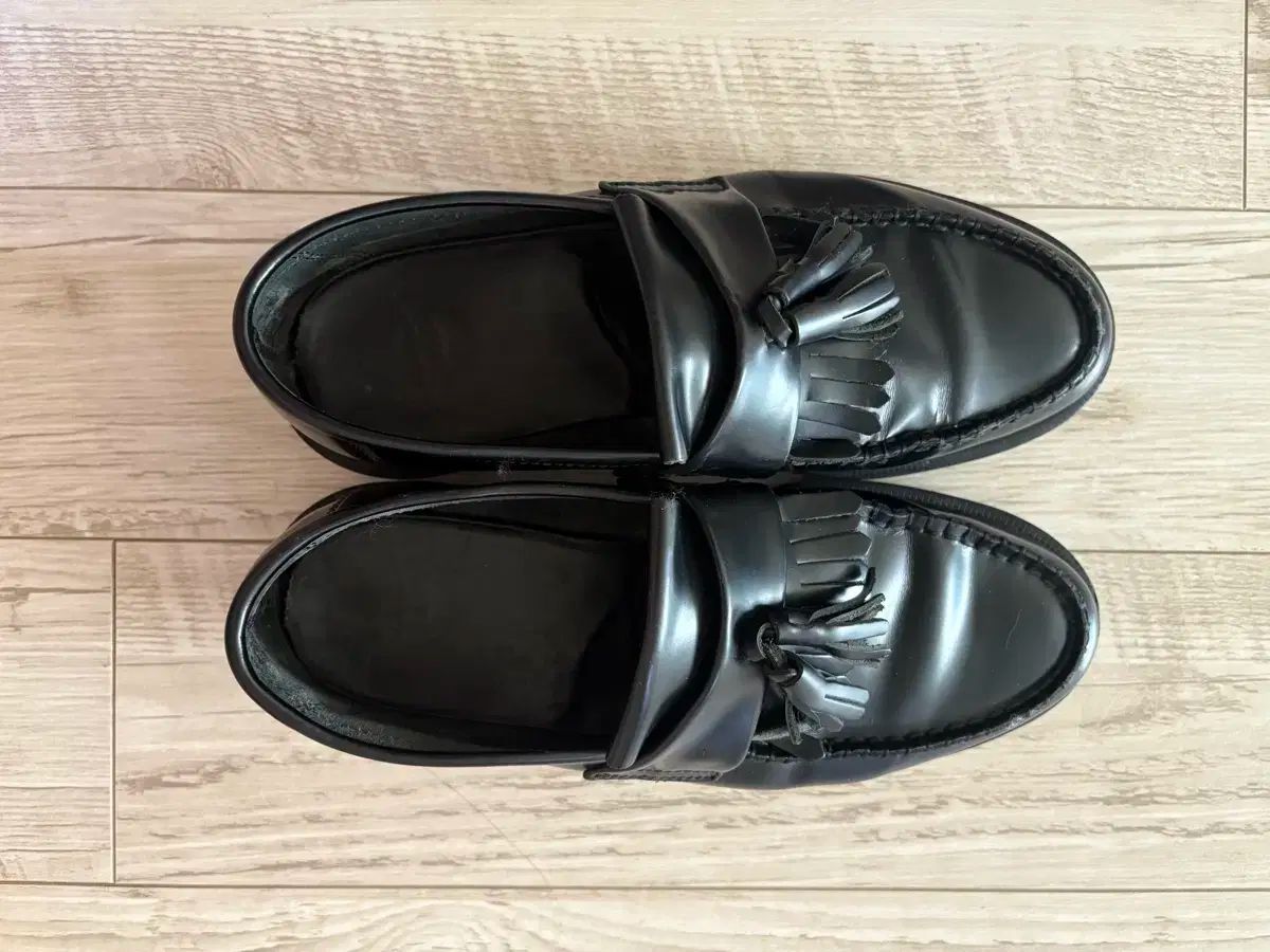 エイドリアン ブラック