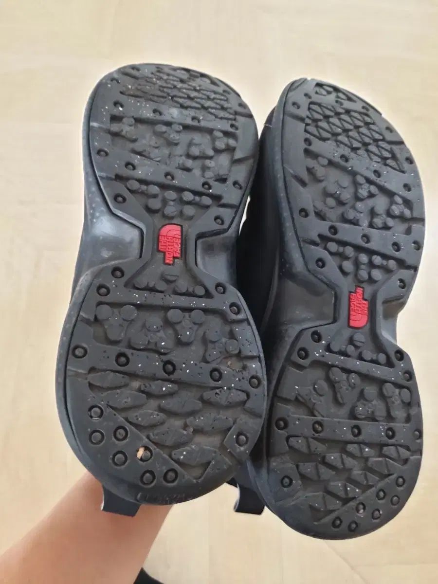 FACE ザノースフェイス