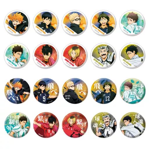 バッジ ピンズ キャラクター 全20種セット ハイキュー!! TO THE TOP 缶バッジ