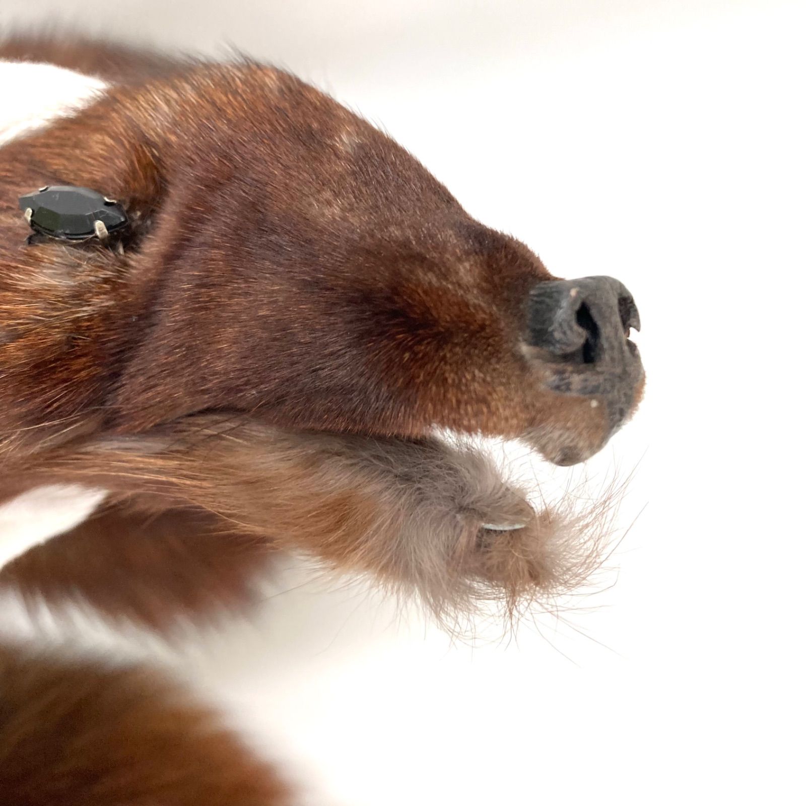 ショール オレンジブラウン