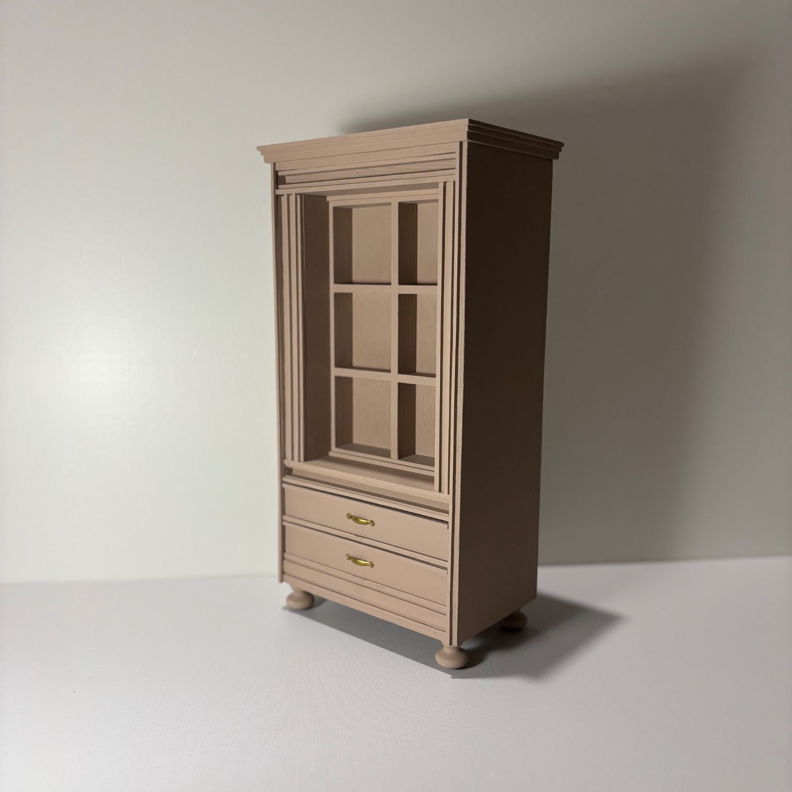 ※残1株 オバティフォリア 'Moby' TC #11 US輸入株【活着済み】 残1株 オバティフォリア 'Moby' TC #11 US輸入株【活着済み】