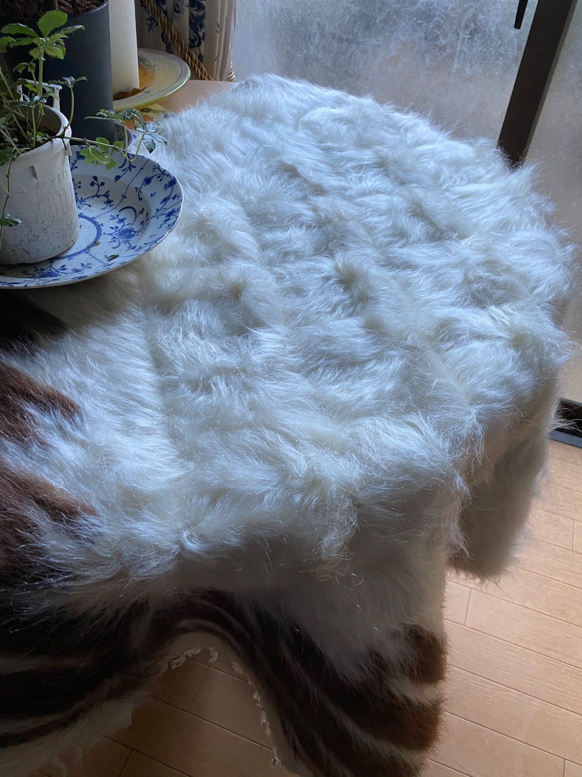 ソファやベッドの下にも