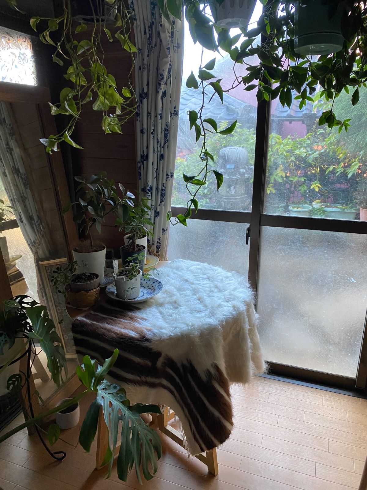 ソファやベッドの下にも 踏み心地抜群