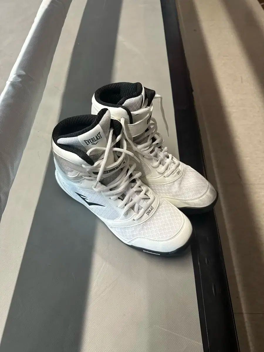 エバーラスト エリート2 ボクシング シューズ 260