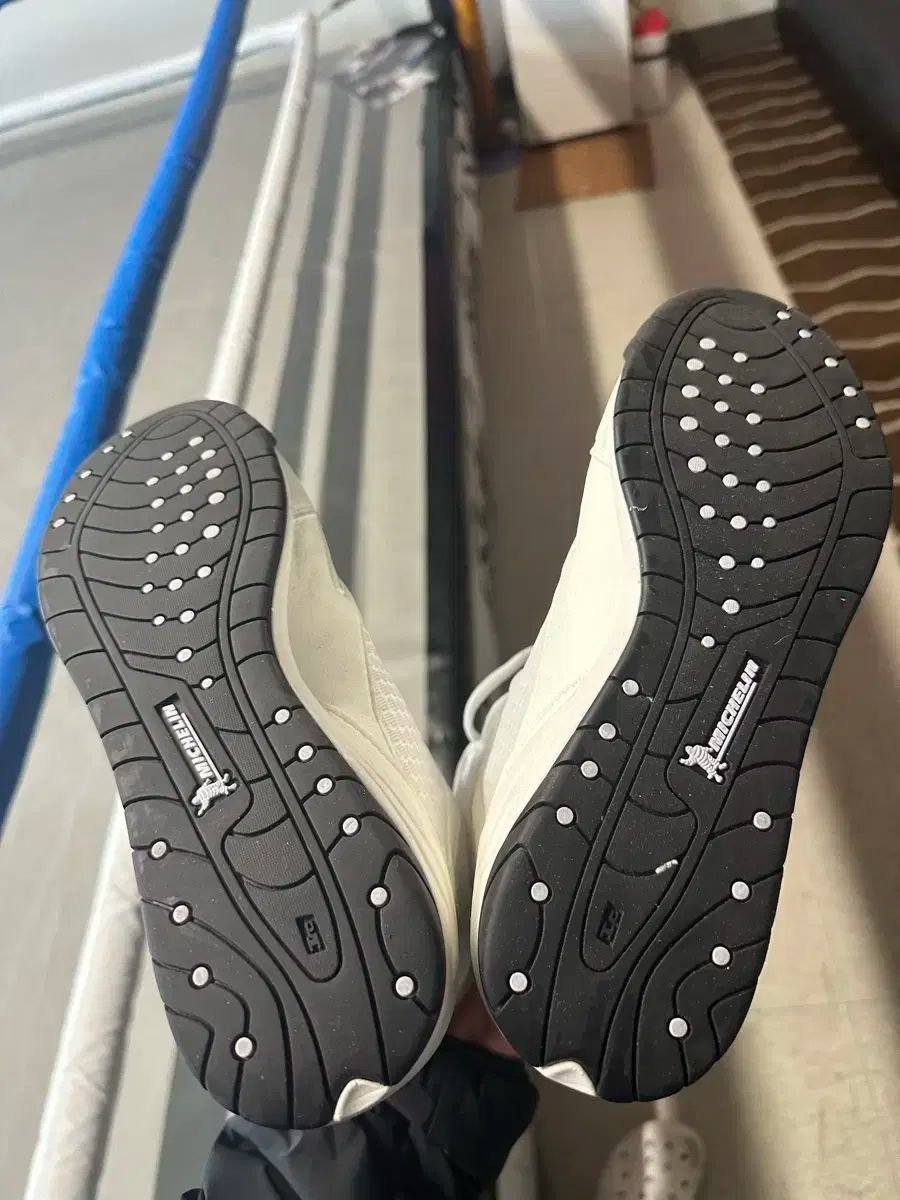 エリート2 ボクシング