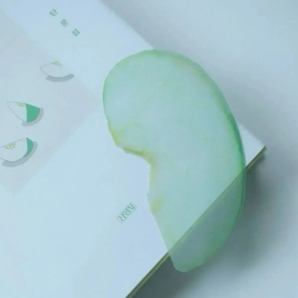 イ オクト作家 世紀末青リンゴ学習塾 しおり