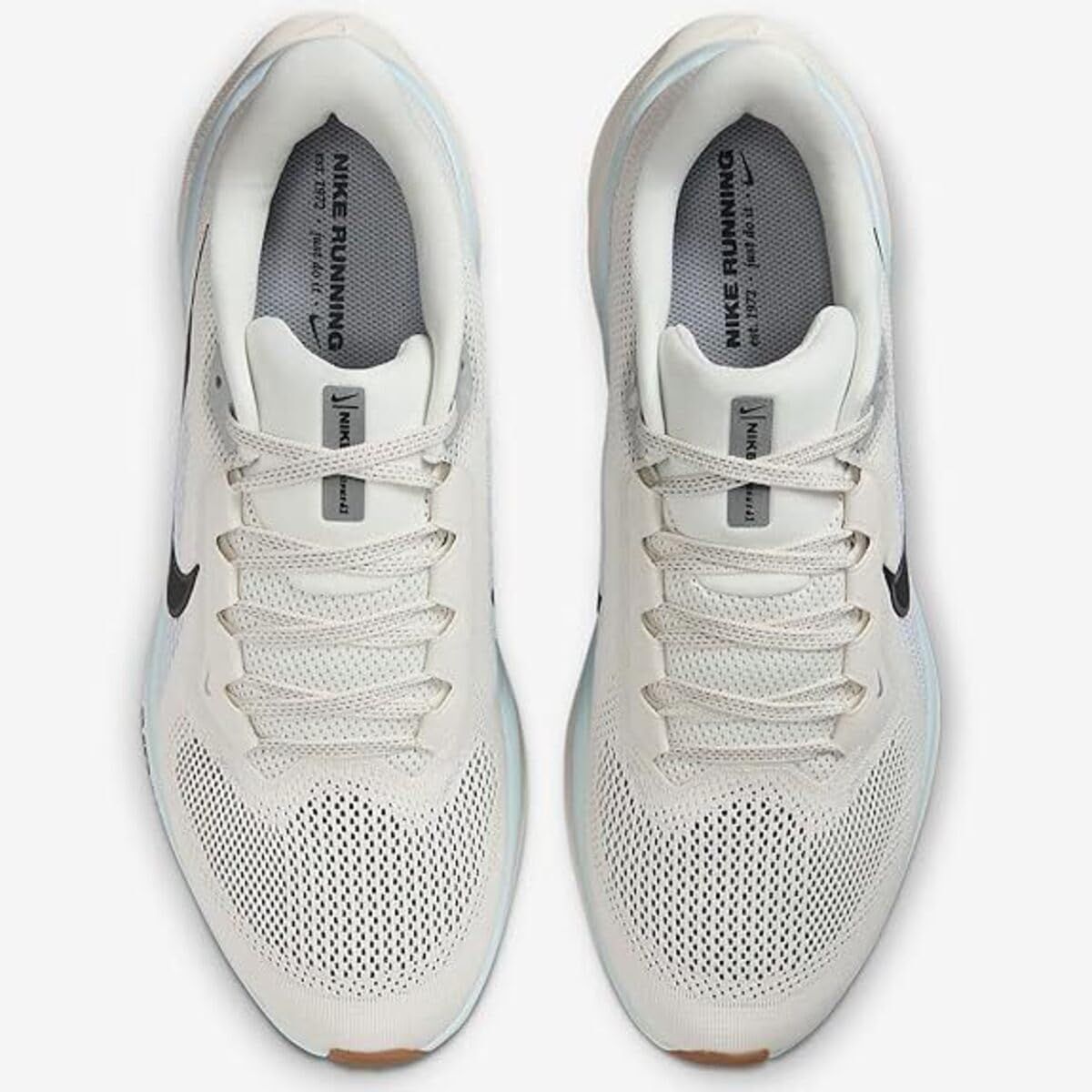 ナイキ ペガサス