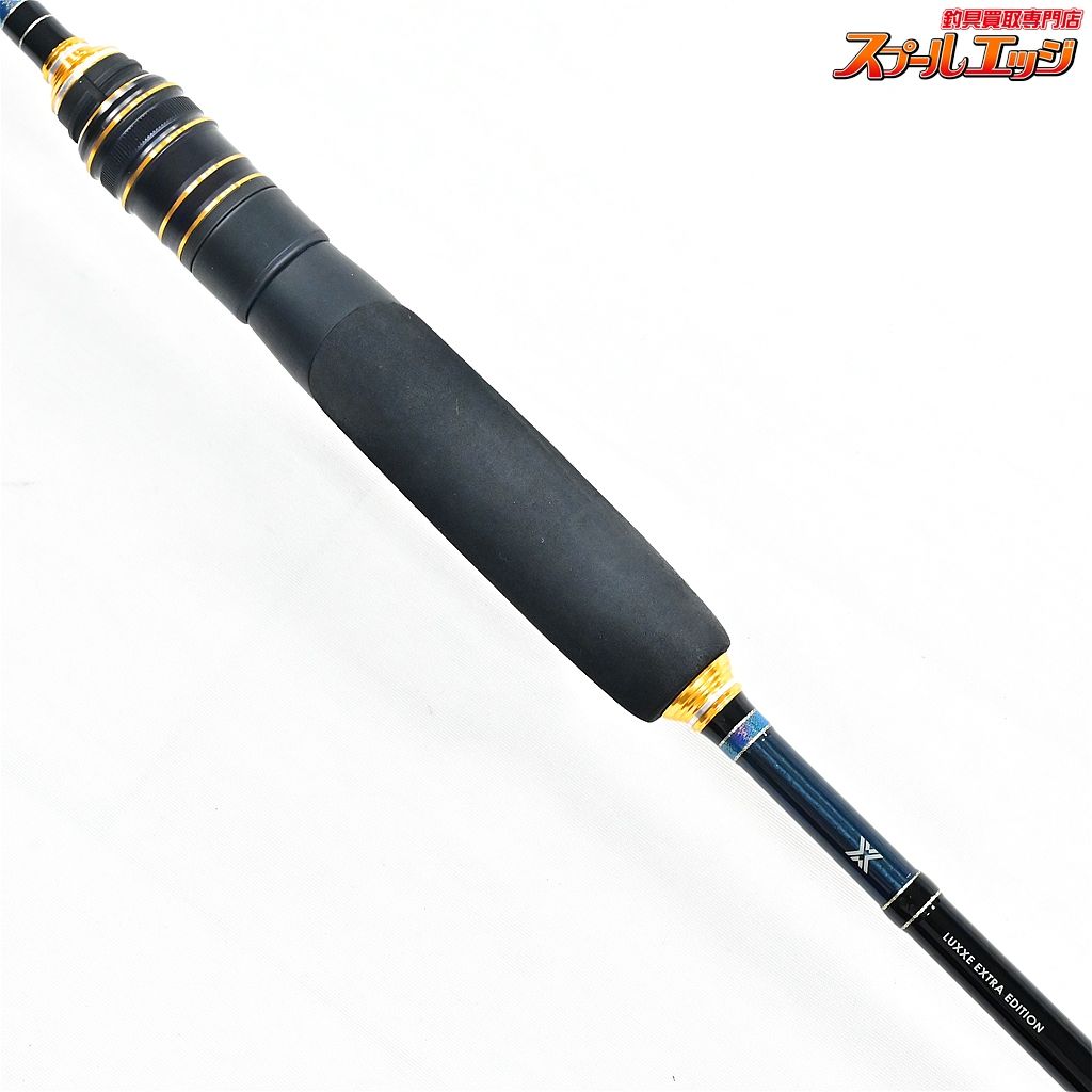 solid アオリイカ