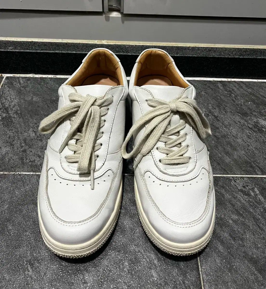 Perfectmovement サブ 260