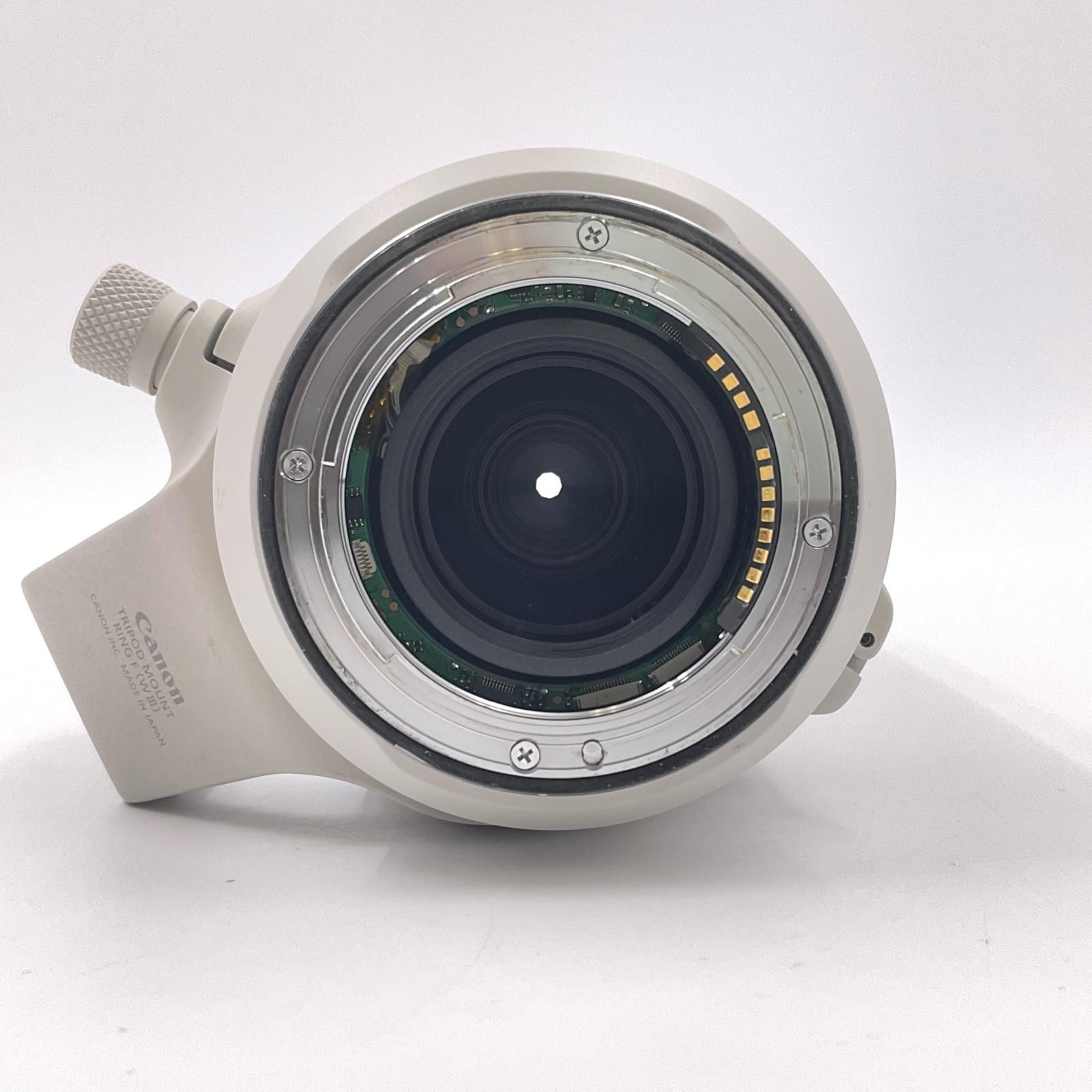 Canon RF100-500mm F4.5-7.1 L IS USM 動作 済 全額返金保証 最速発送 NOITHATQUANGTHANH_NET