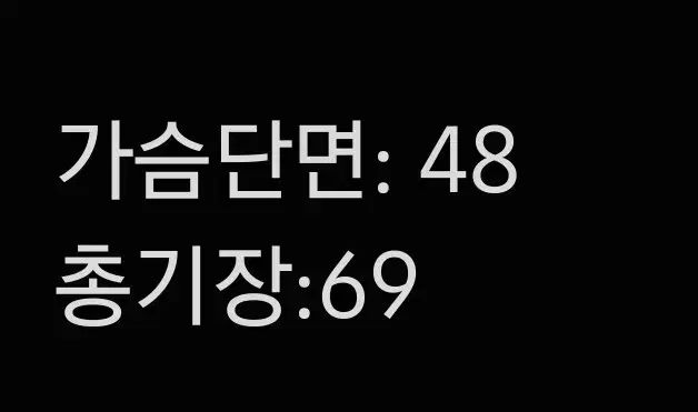 リバーシブル 軽量ベスト