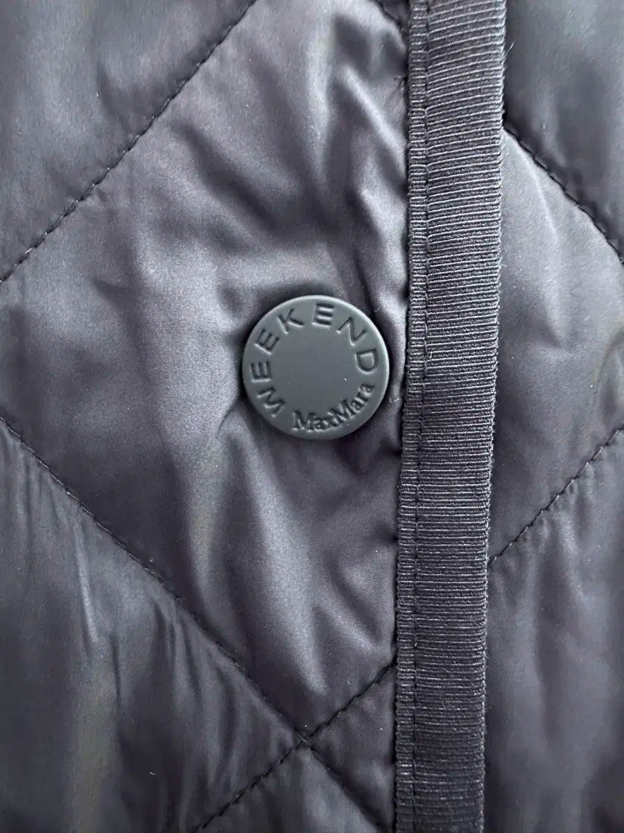 66フリー マックスマーラ