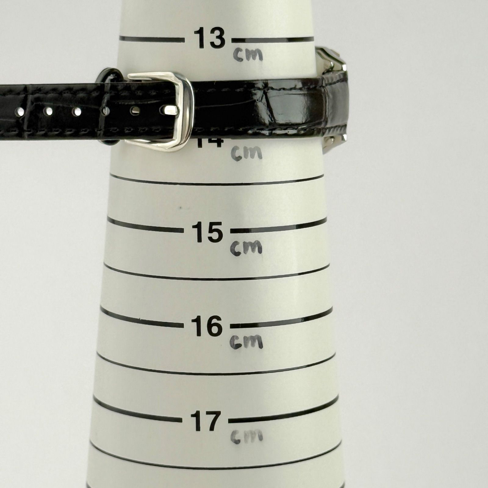 電波ソーラー ベルト