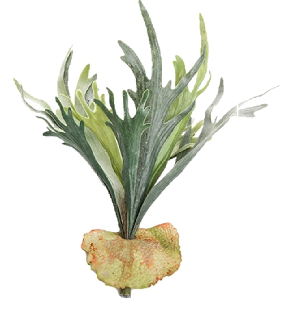 PR Racing PR S1V4 EPオフロードシャーシ一式