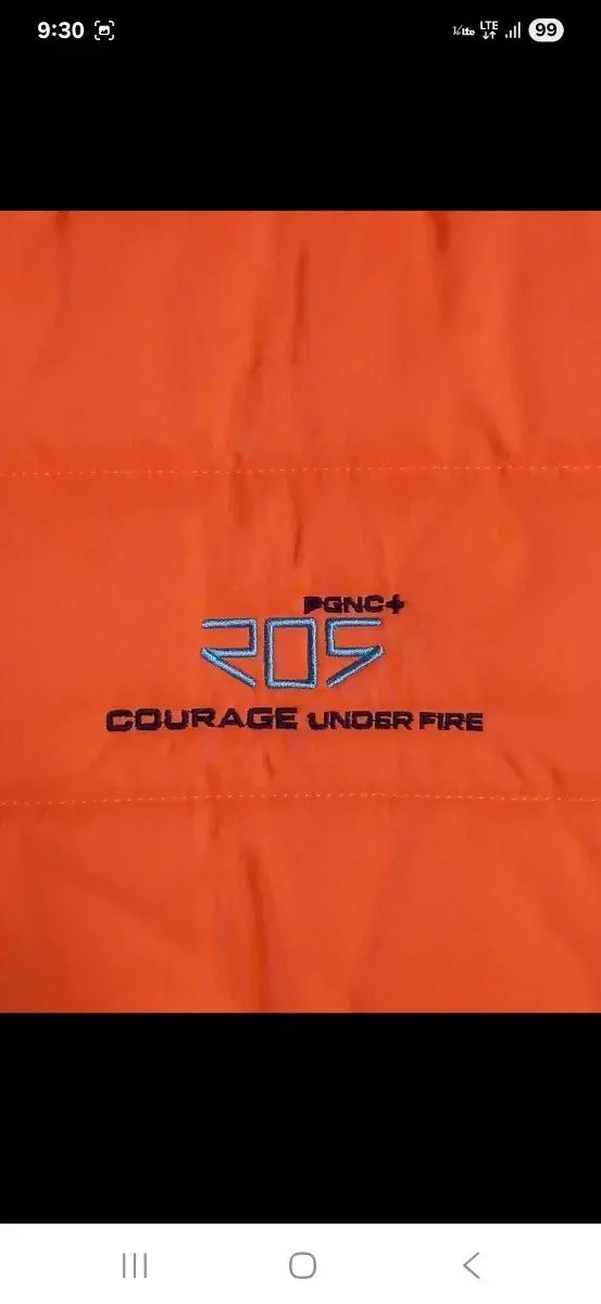 パギエンコ ゴルフ 軽量ダウン ベスト オレンジ色 実物画像あり 実サイズ95 LLC-HASEGAWATOSO_COM