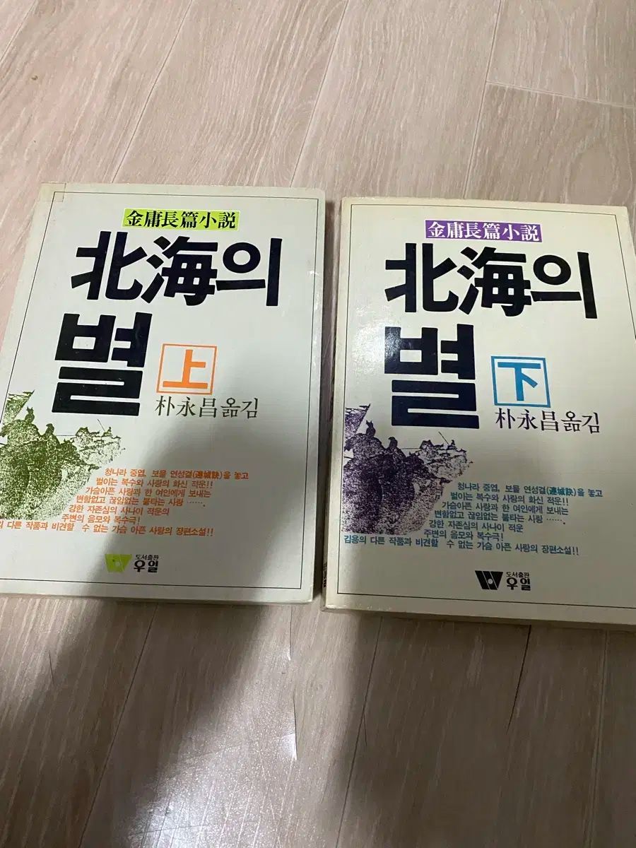 武侠小説 北海の星