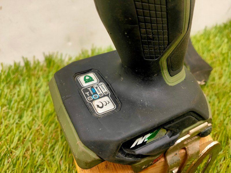 フォレストグリーン