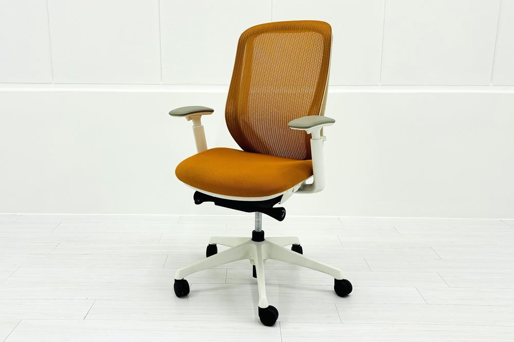 オレンジ A000003848