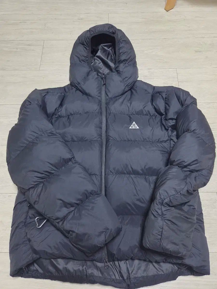 NIKE ACG ルナ レイ ダウン L