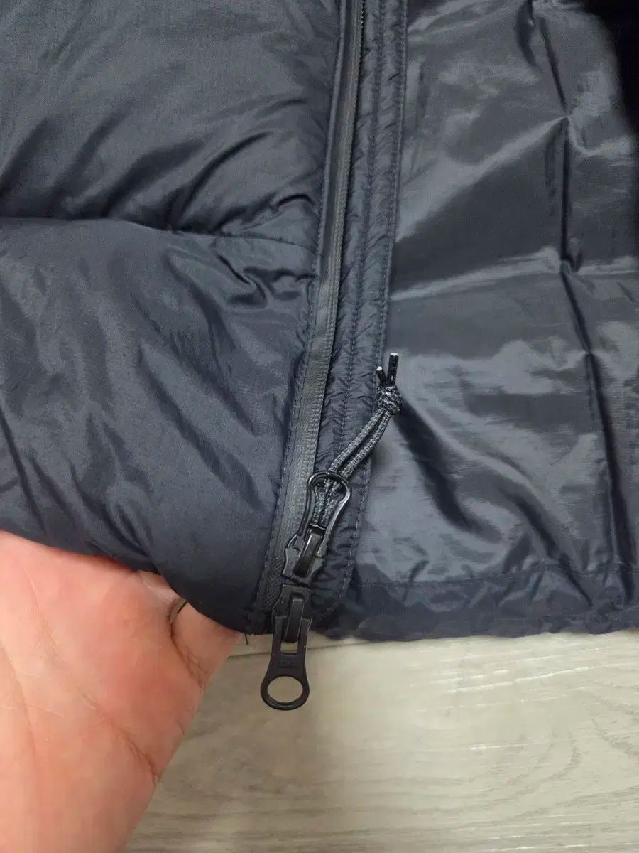 NIKE ACG ルナ レイ ダウン L