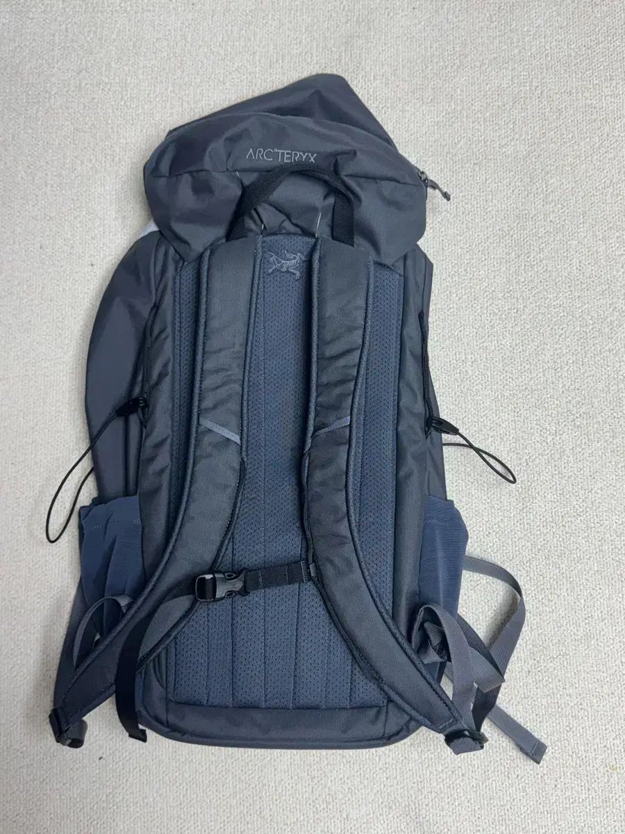 アークテリクス マンティス 20 グラファイト