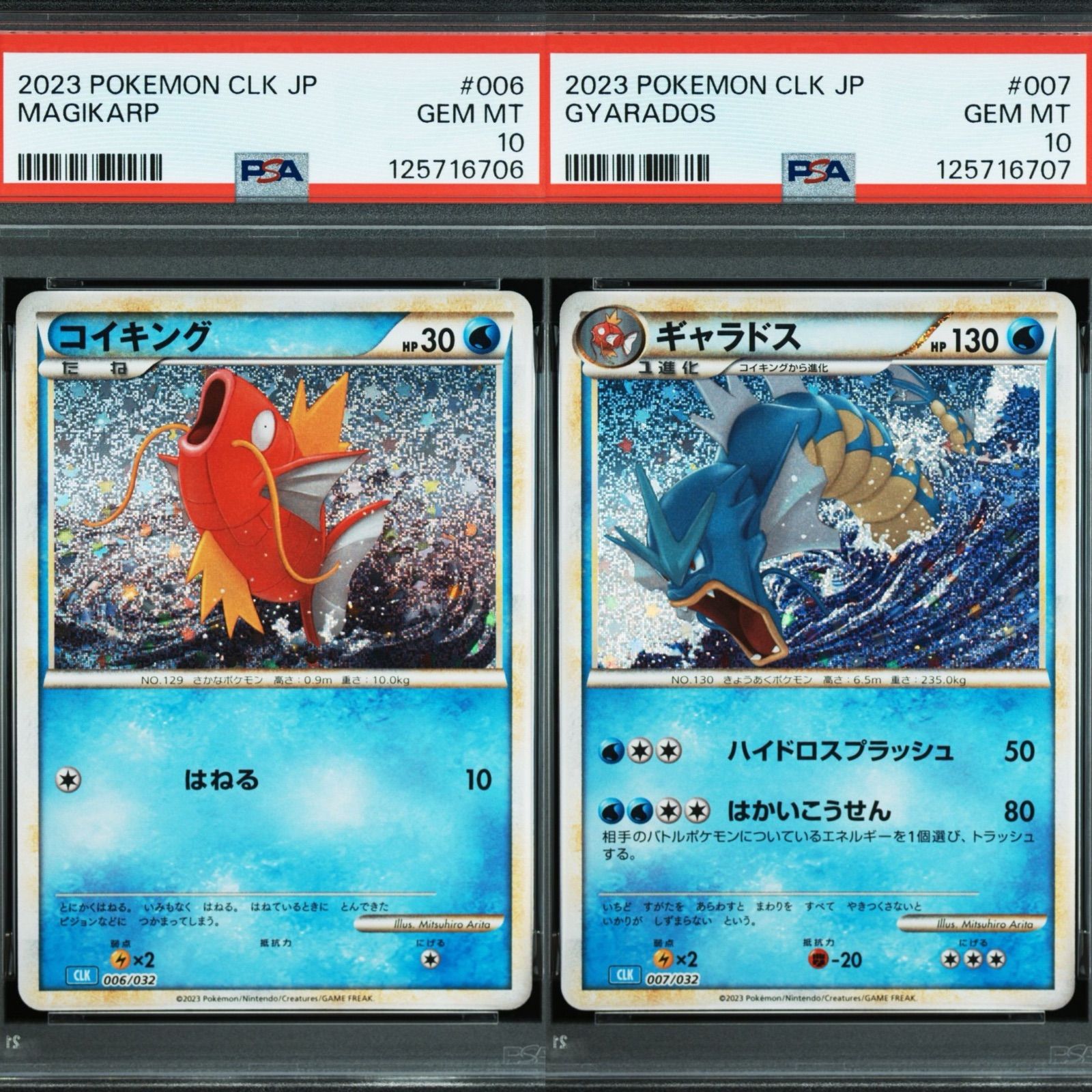 PSA 10 ポケモンカードゲーム THE BEST OF XY ジガルデEX 鑑定品 THE