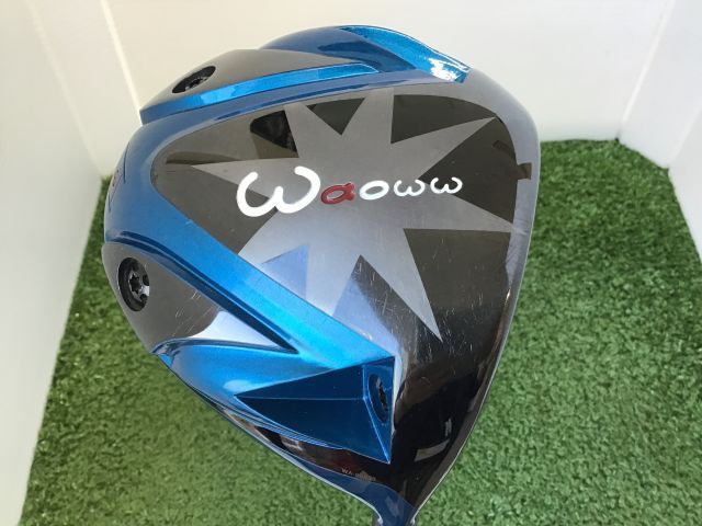 ガチ盆栽】石榴 ざくろ ザクロ 寄せ植え 根繋がり 持ち込み古 昨年実あり