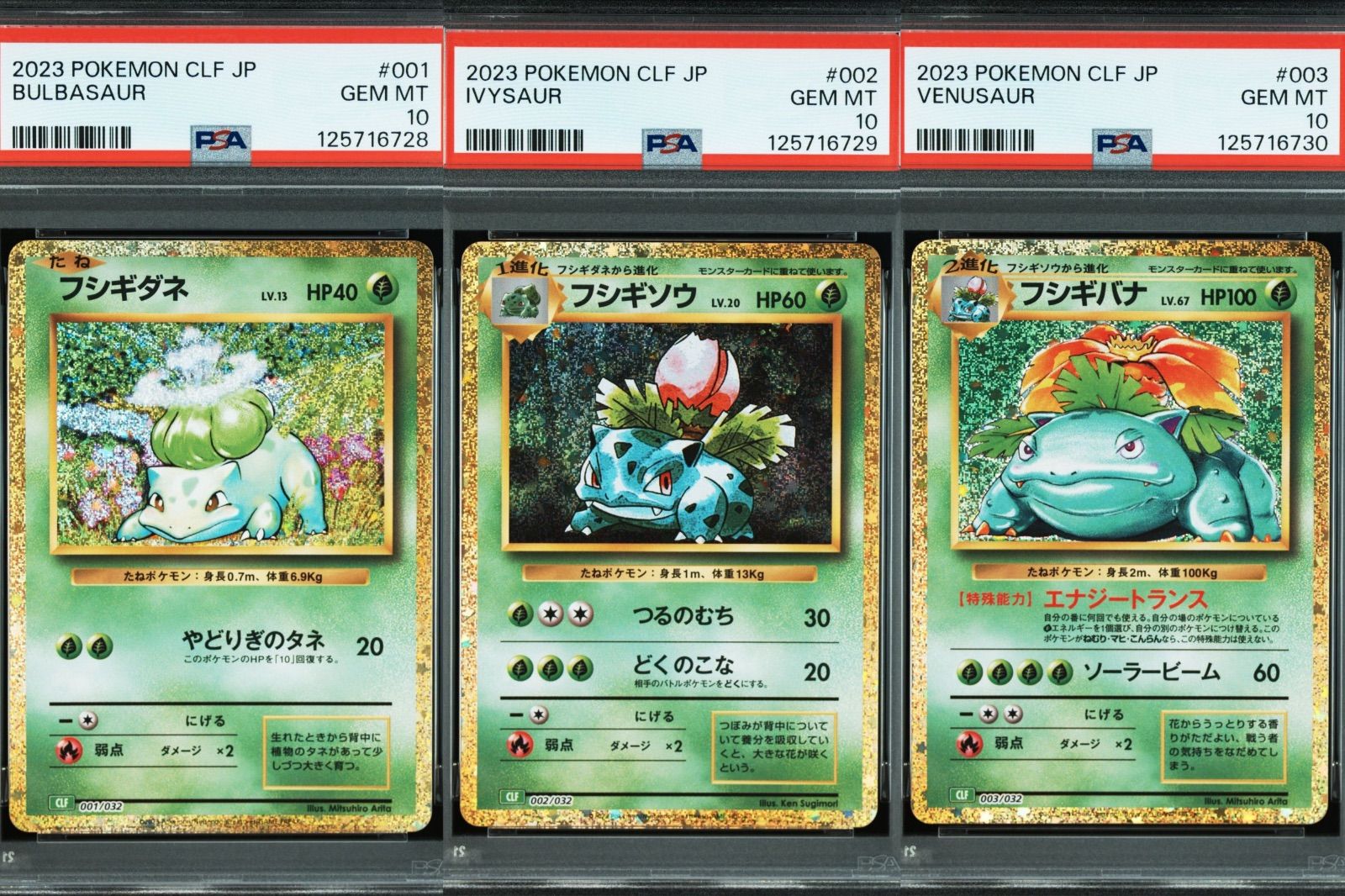 PSA10/連番】3連番 ポケモンカードゲーム フシギバナ フシギダネ